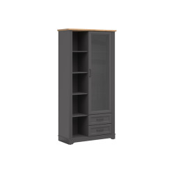 Witryna Tolmin 100 cm z drzwiami i 2 szufladami grafit/dab artisan